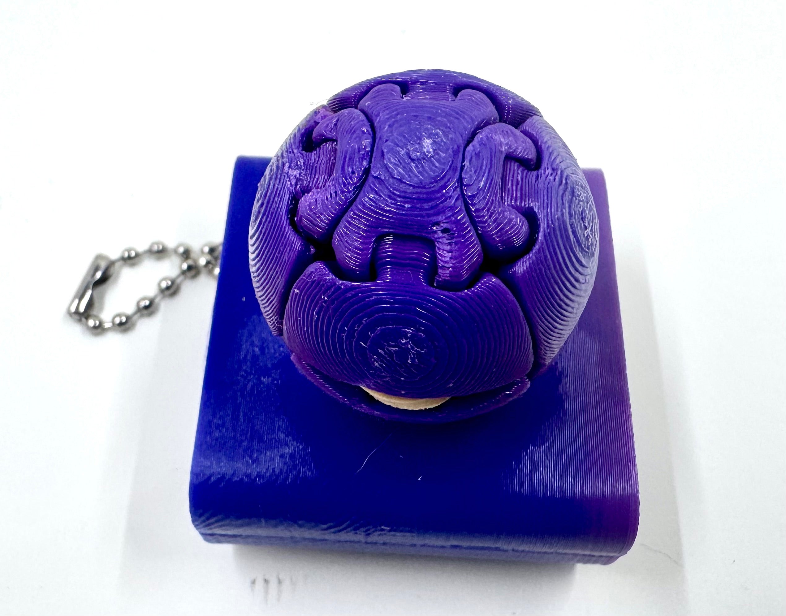 purple zorble