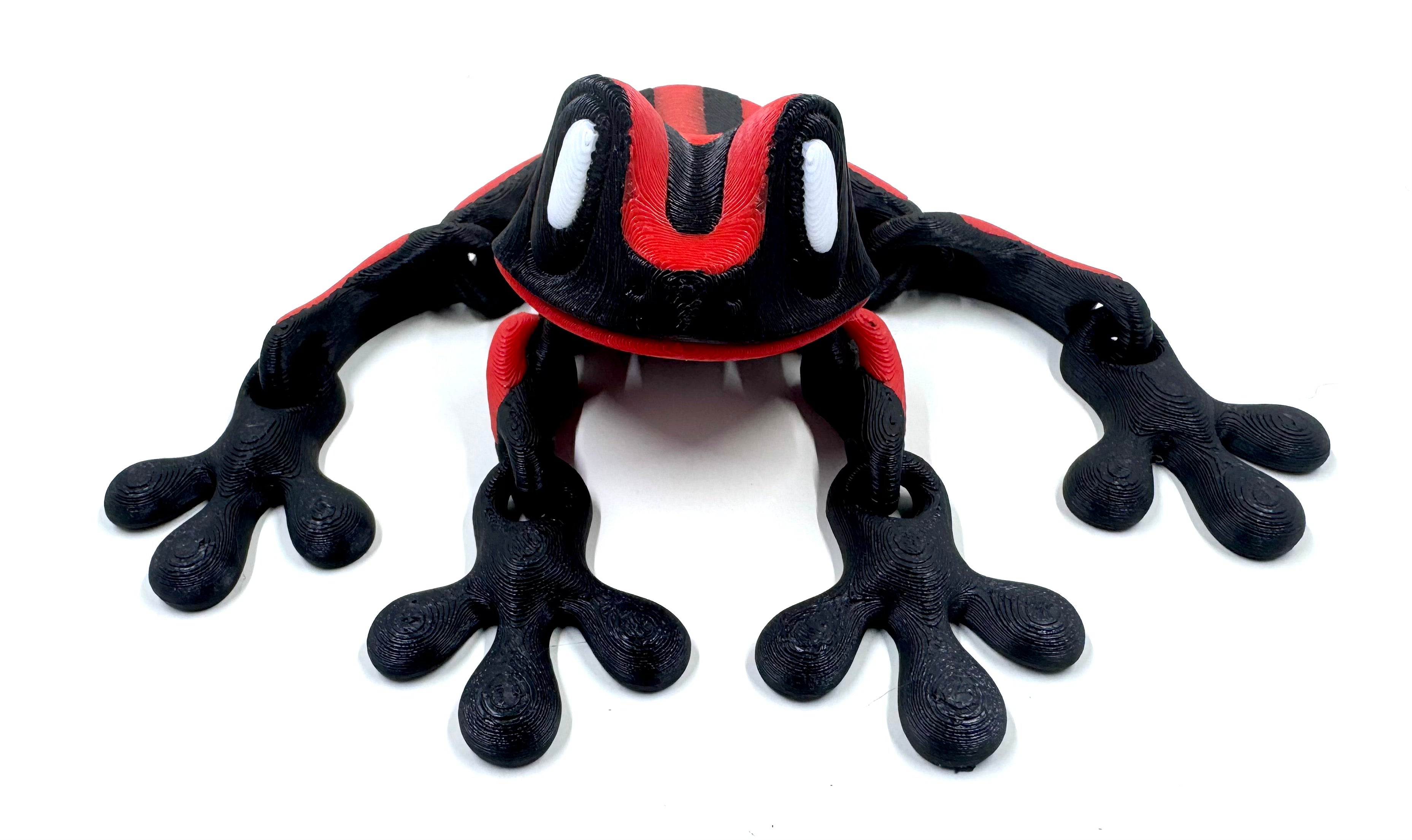 Red dart frog
