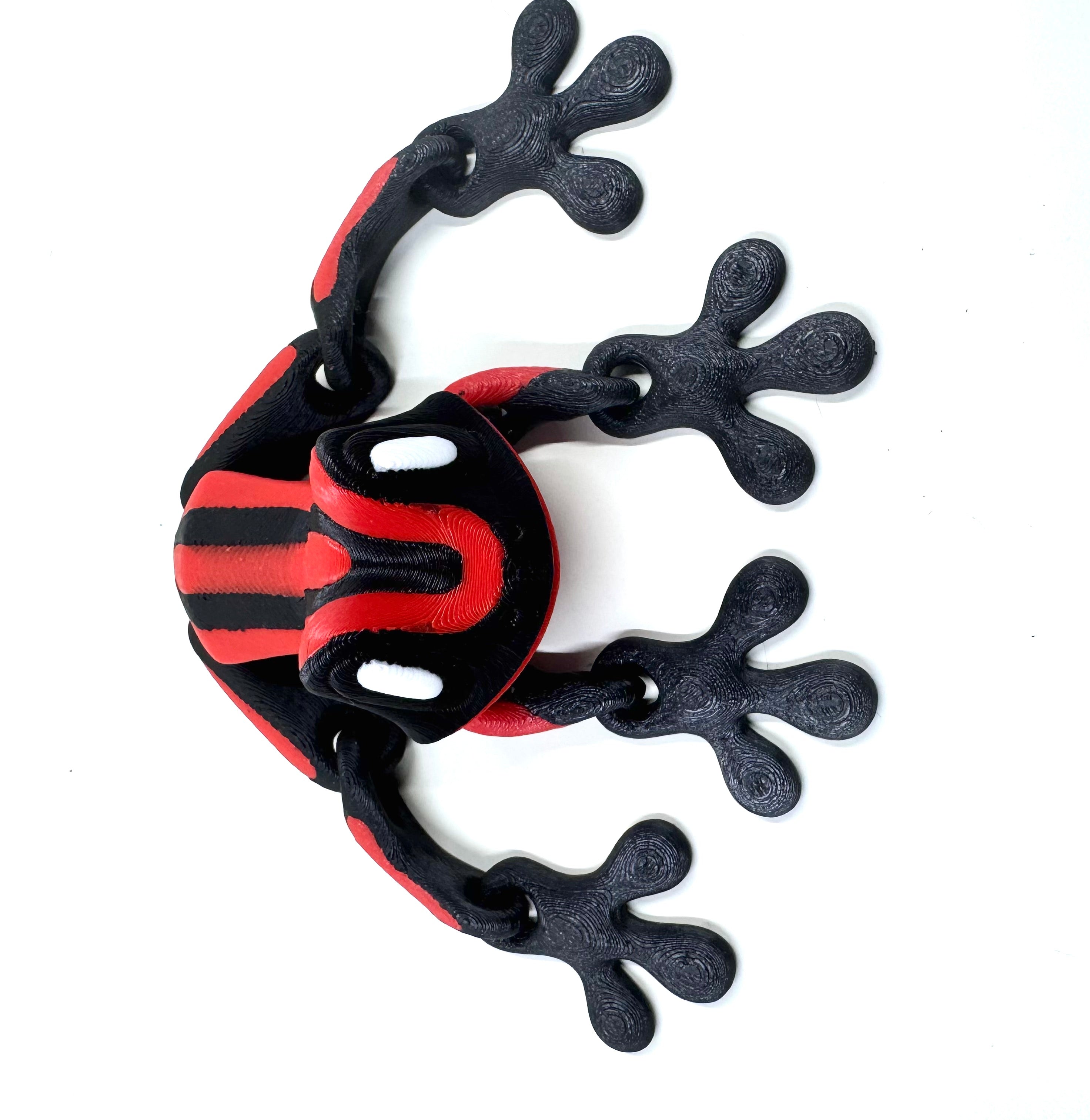 Red dart frog