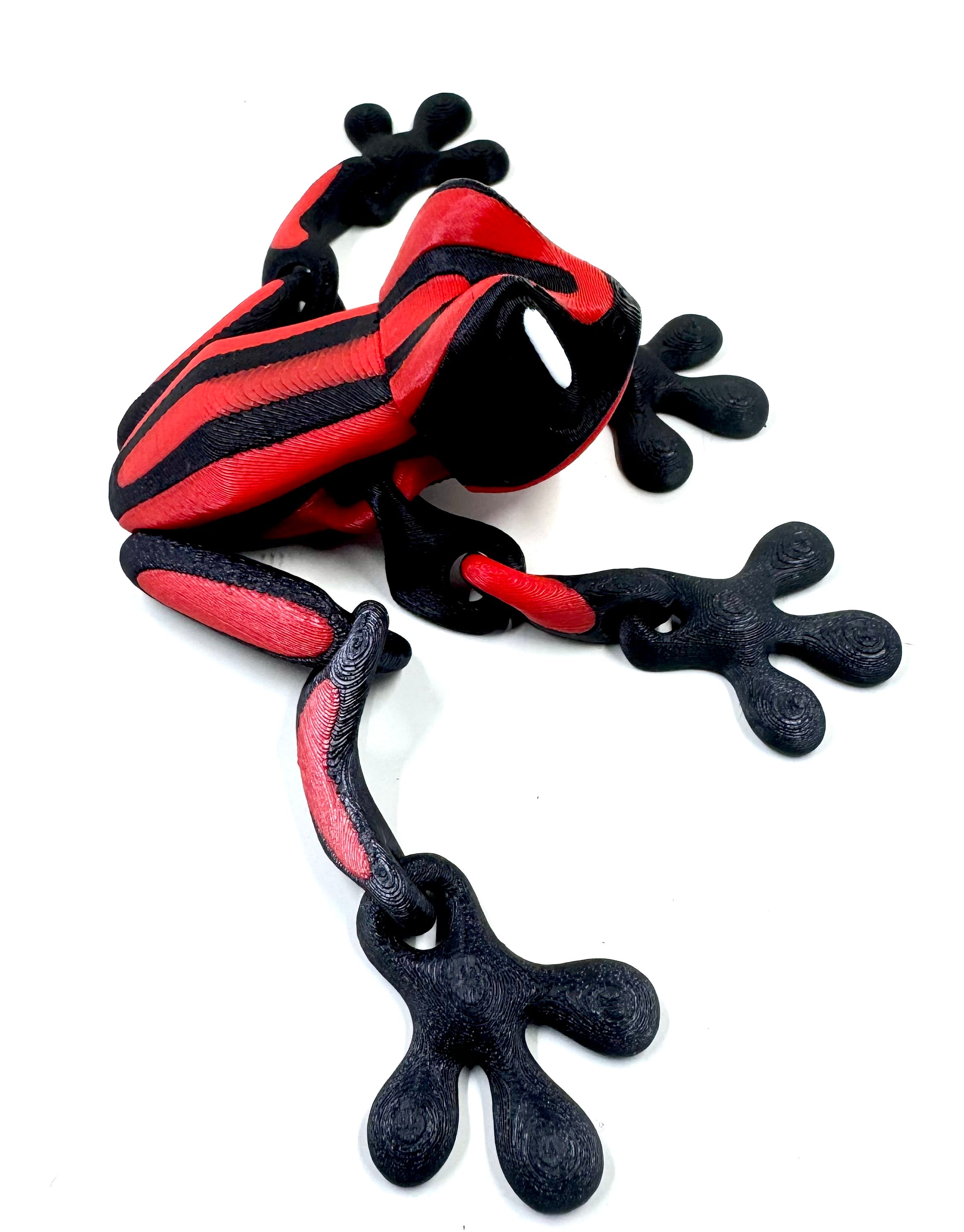Red dart frog