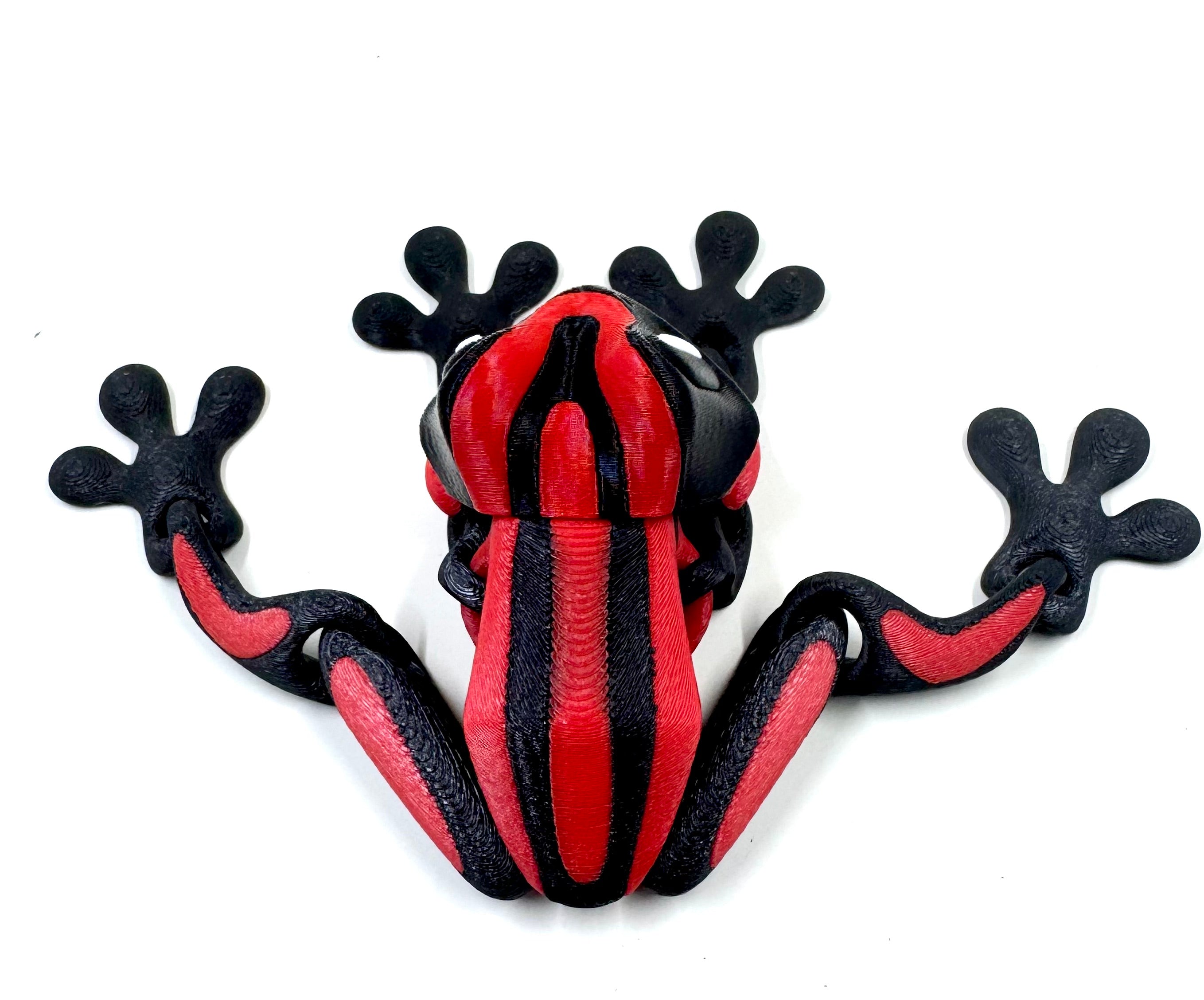 Red dart frog