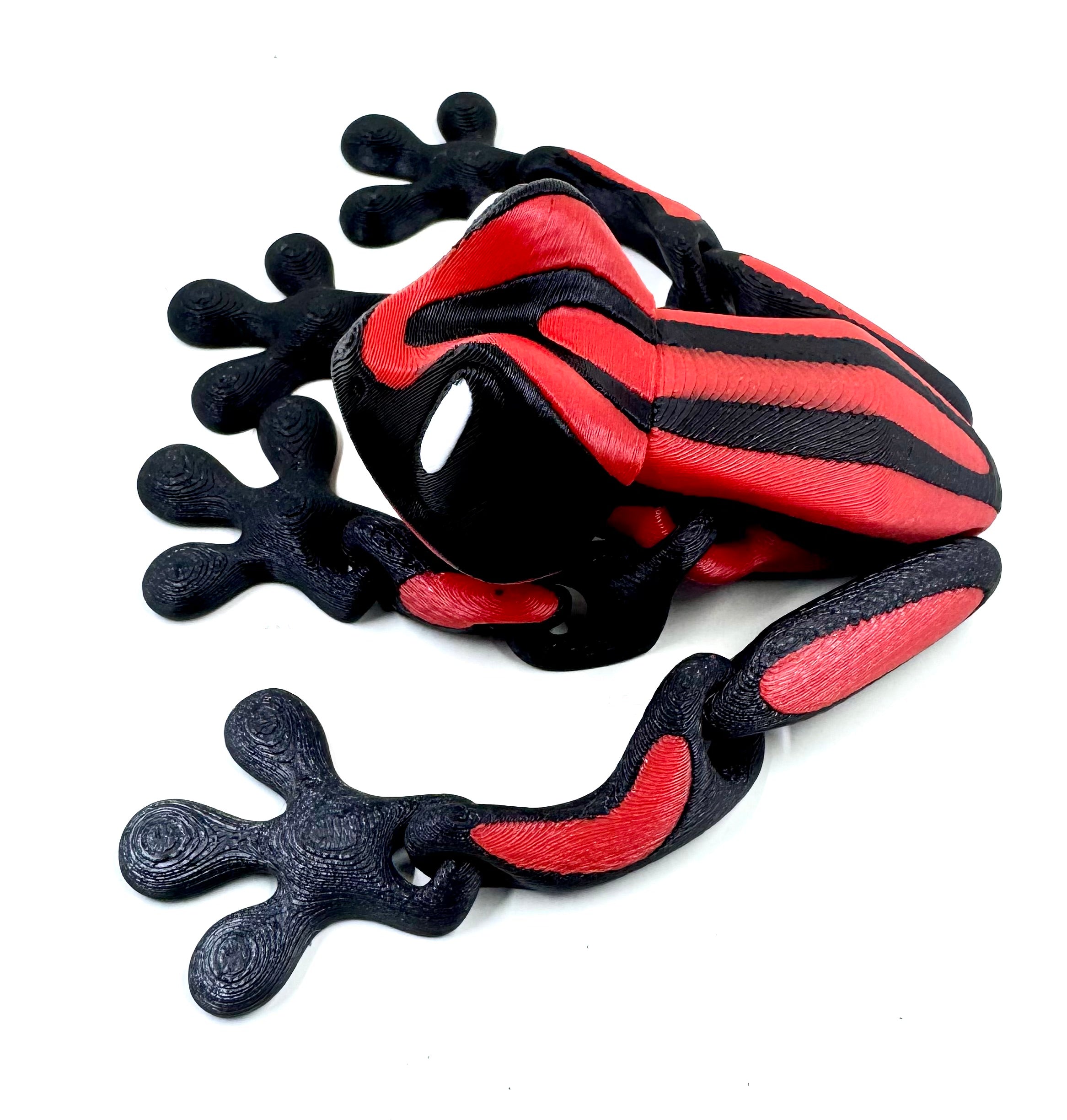 Red dart frog
