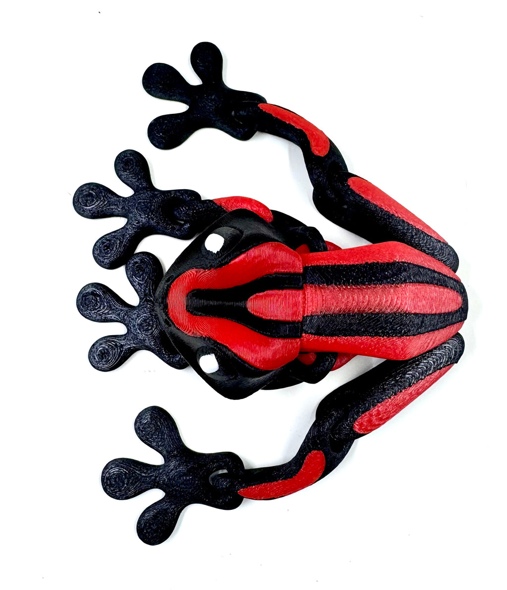 Red dart frog