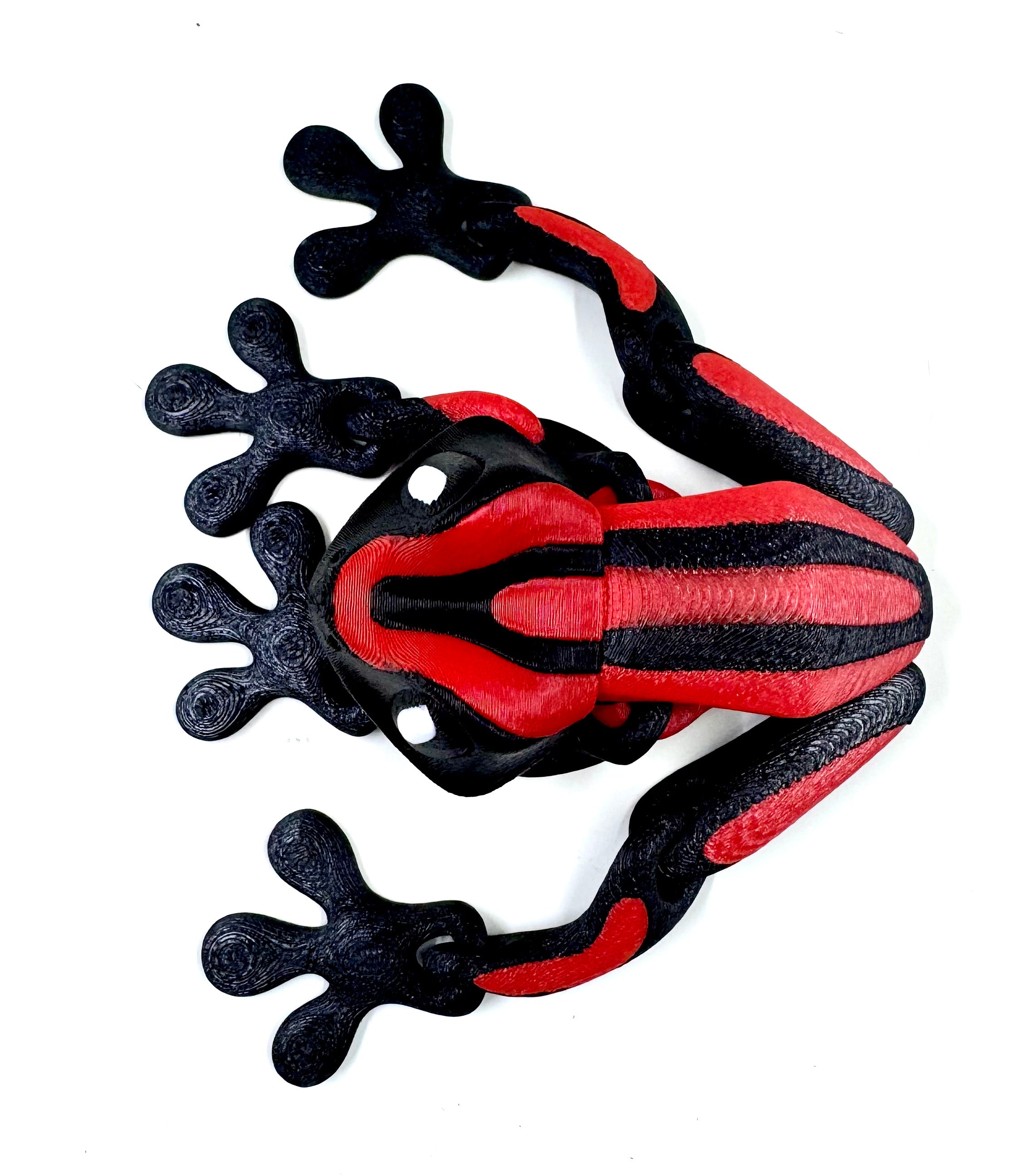 Red dart frog