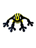 corroboree yellow frog