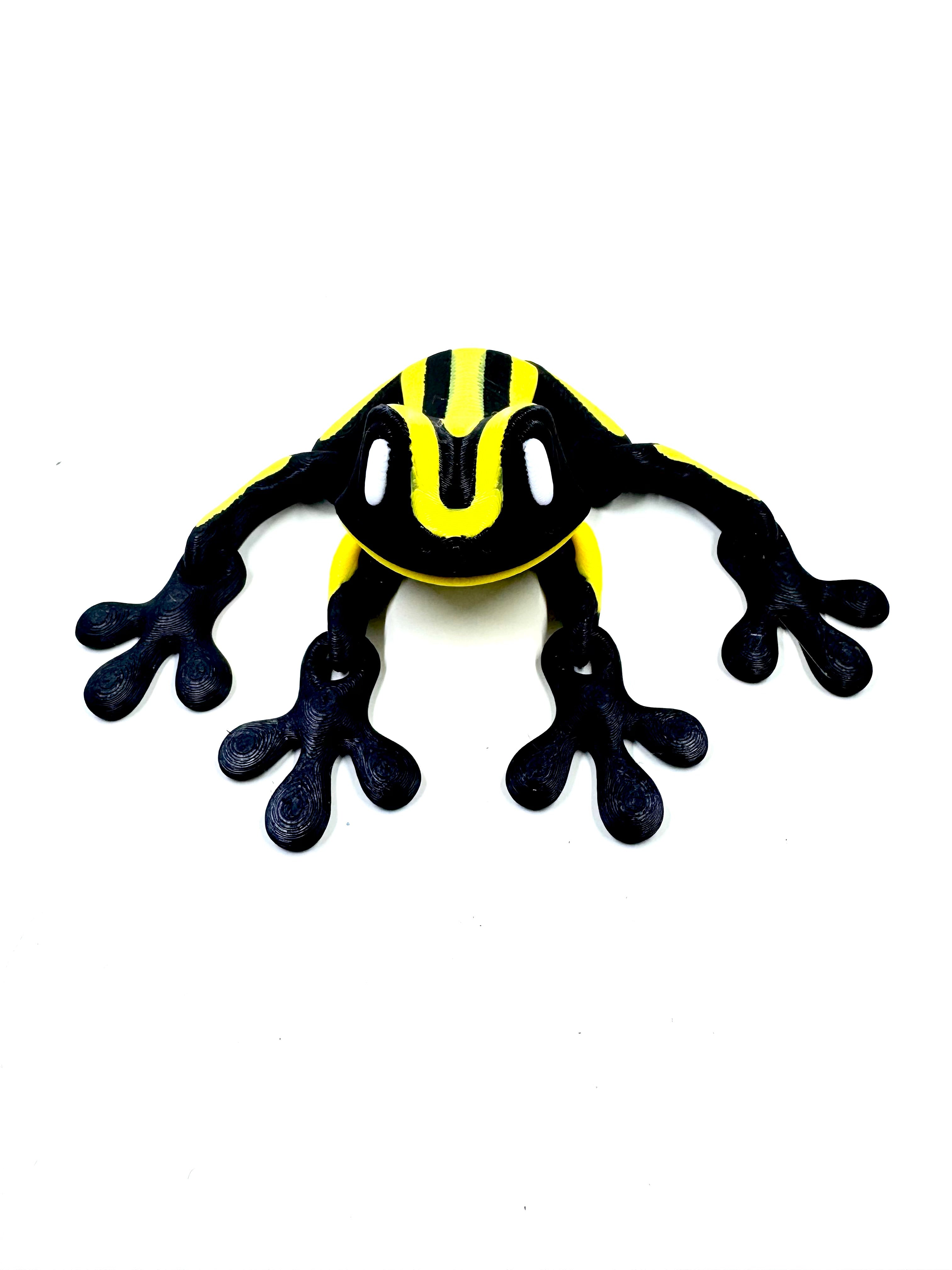 corroboree yellow frog