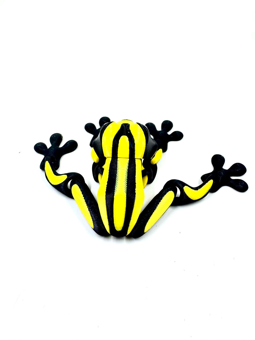 corroboree yellow frog
