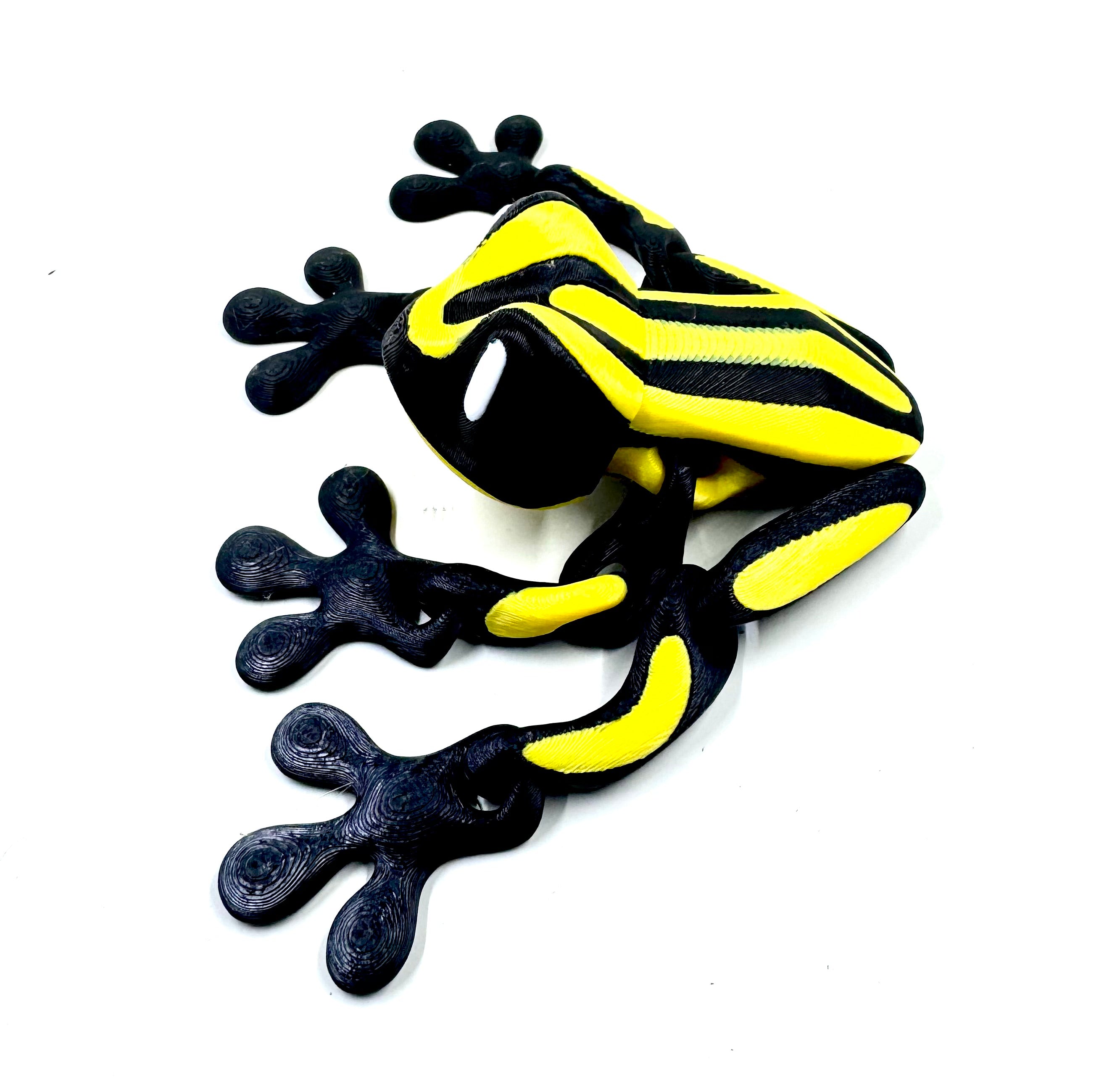 corroboree yellow frog