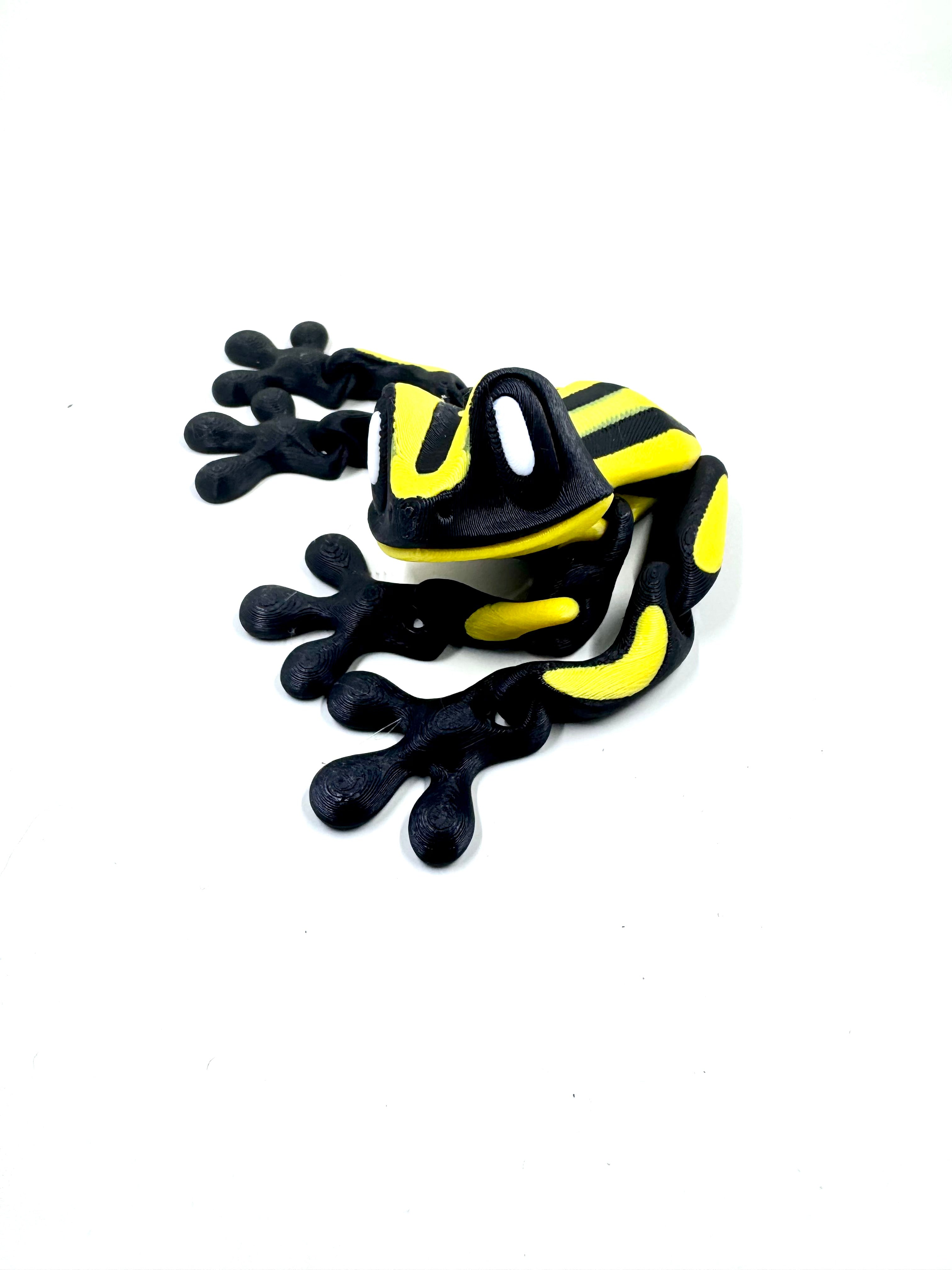 corroboree yellow frog