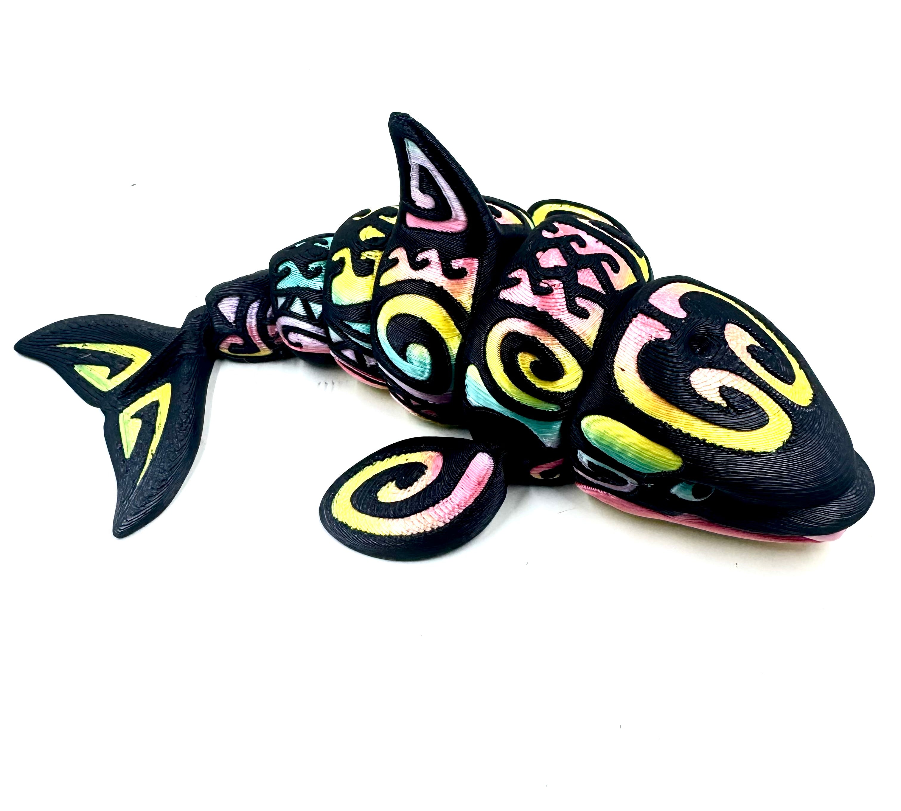 rainbow orca