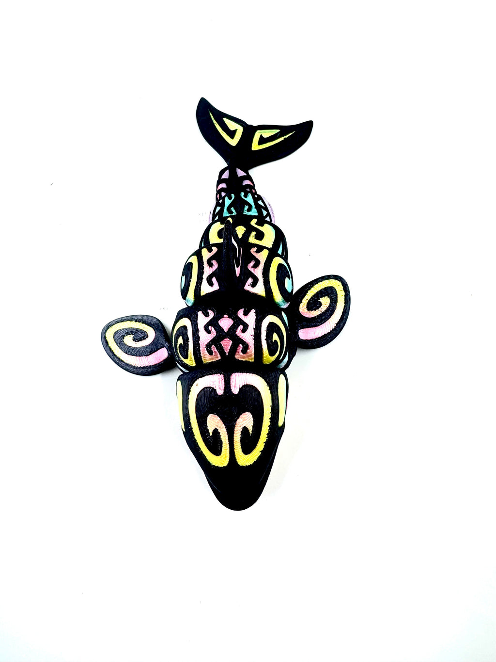 rainbow orca