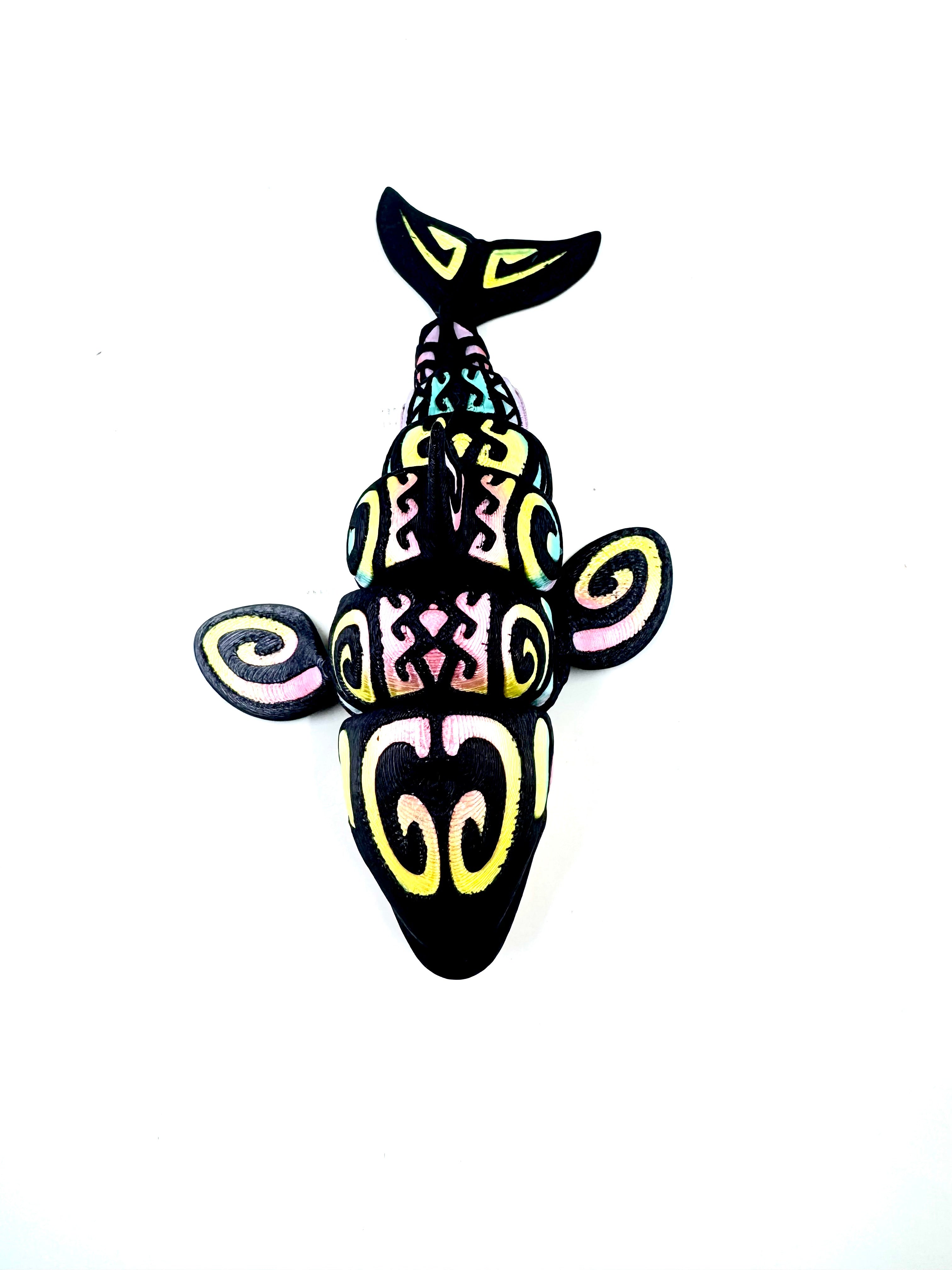 rainbow orca