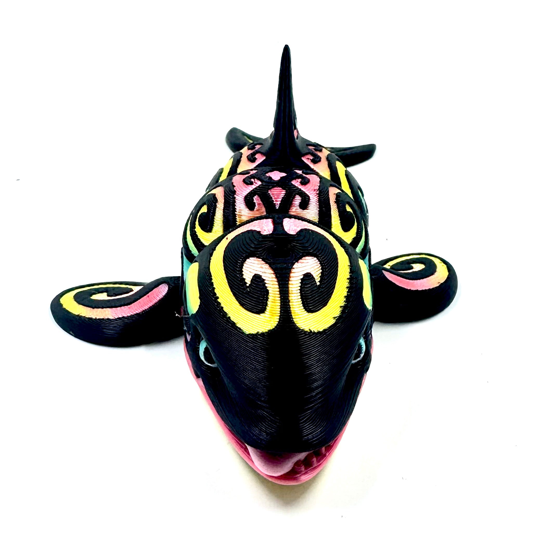 rainbow orca