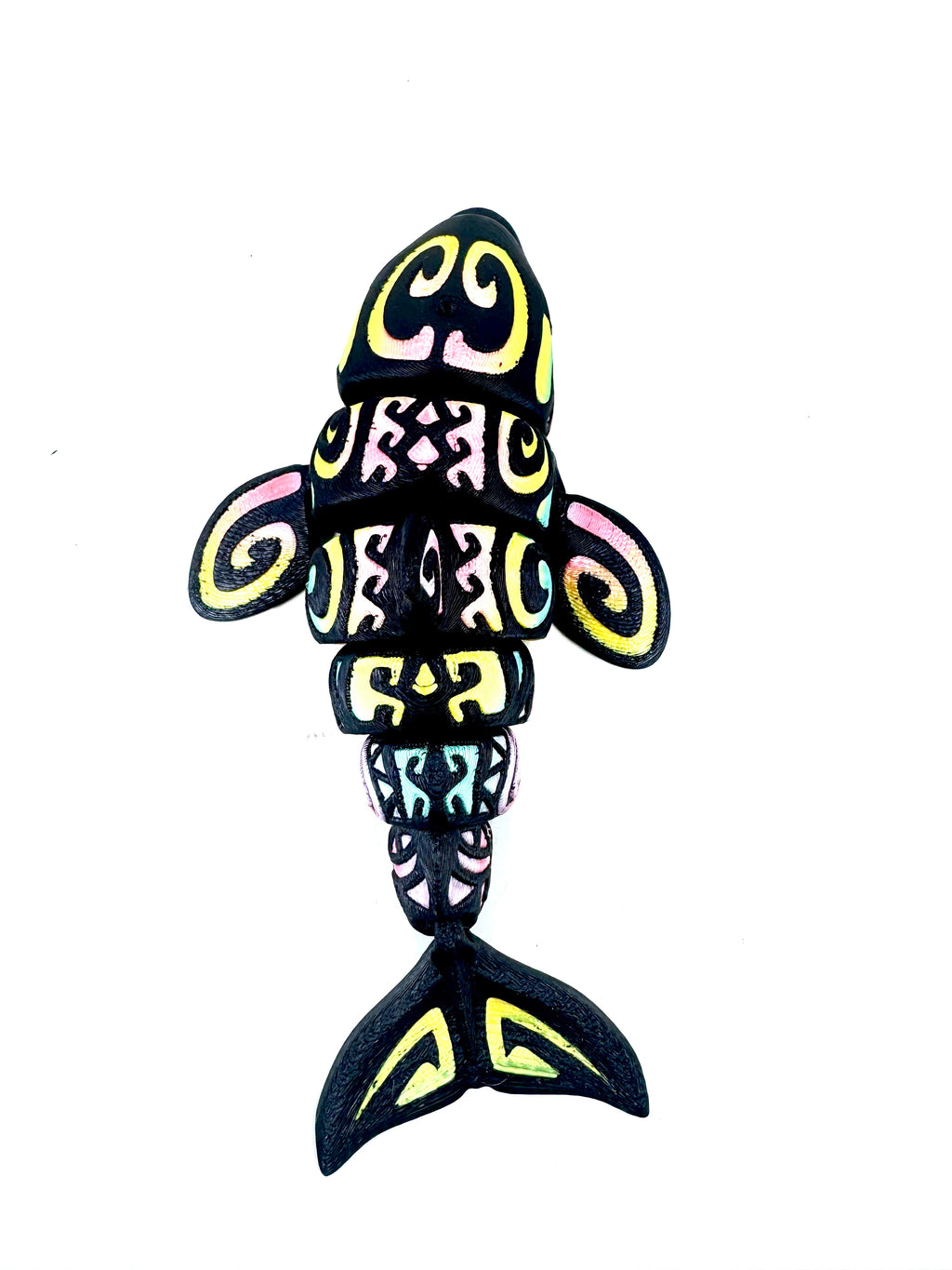 rainbow orca