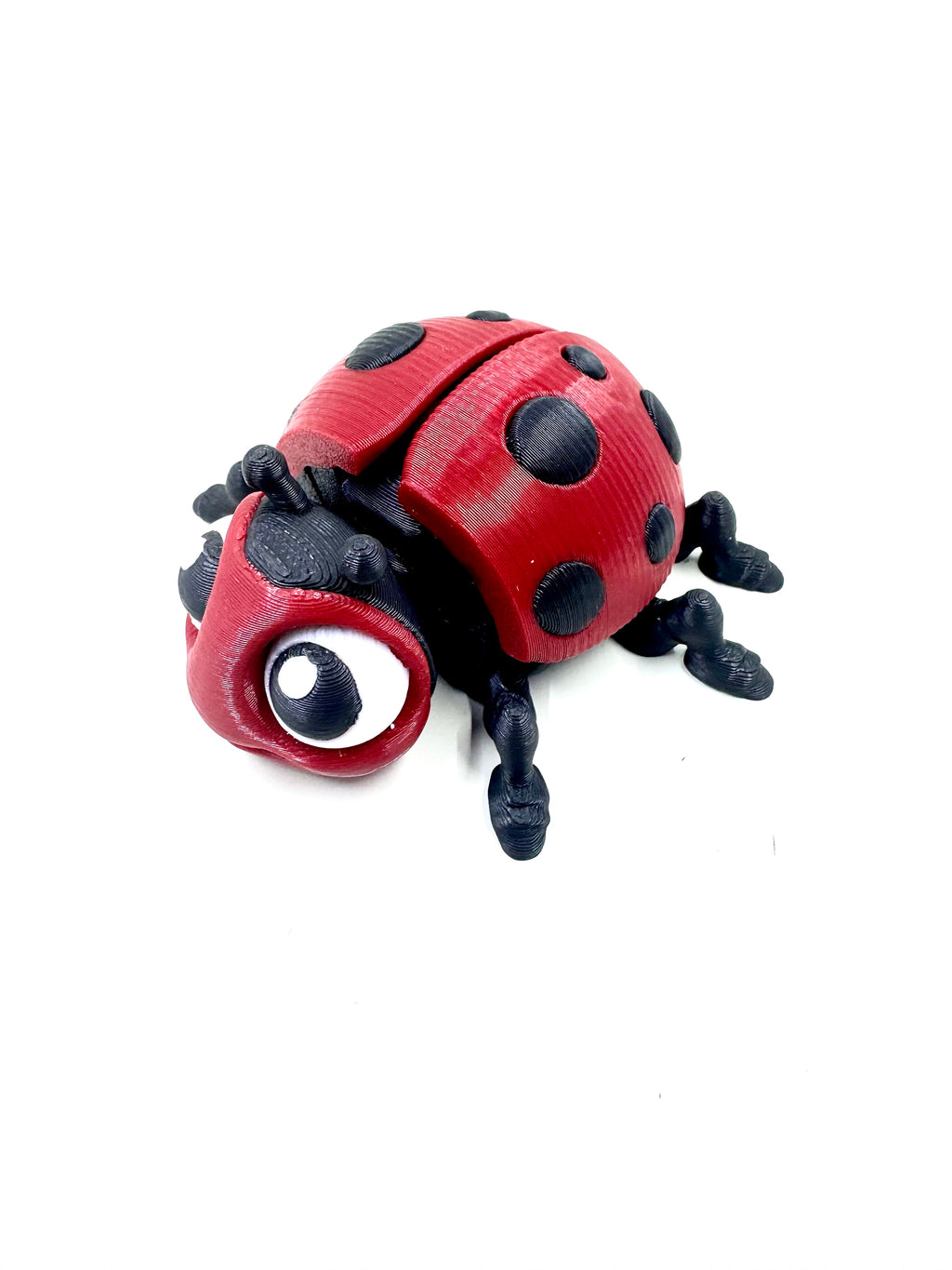 ladybug