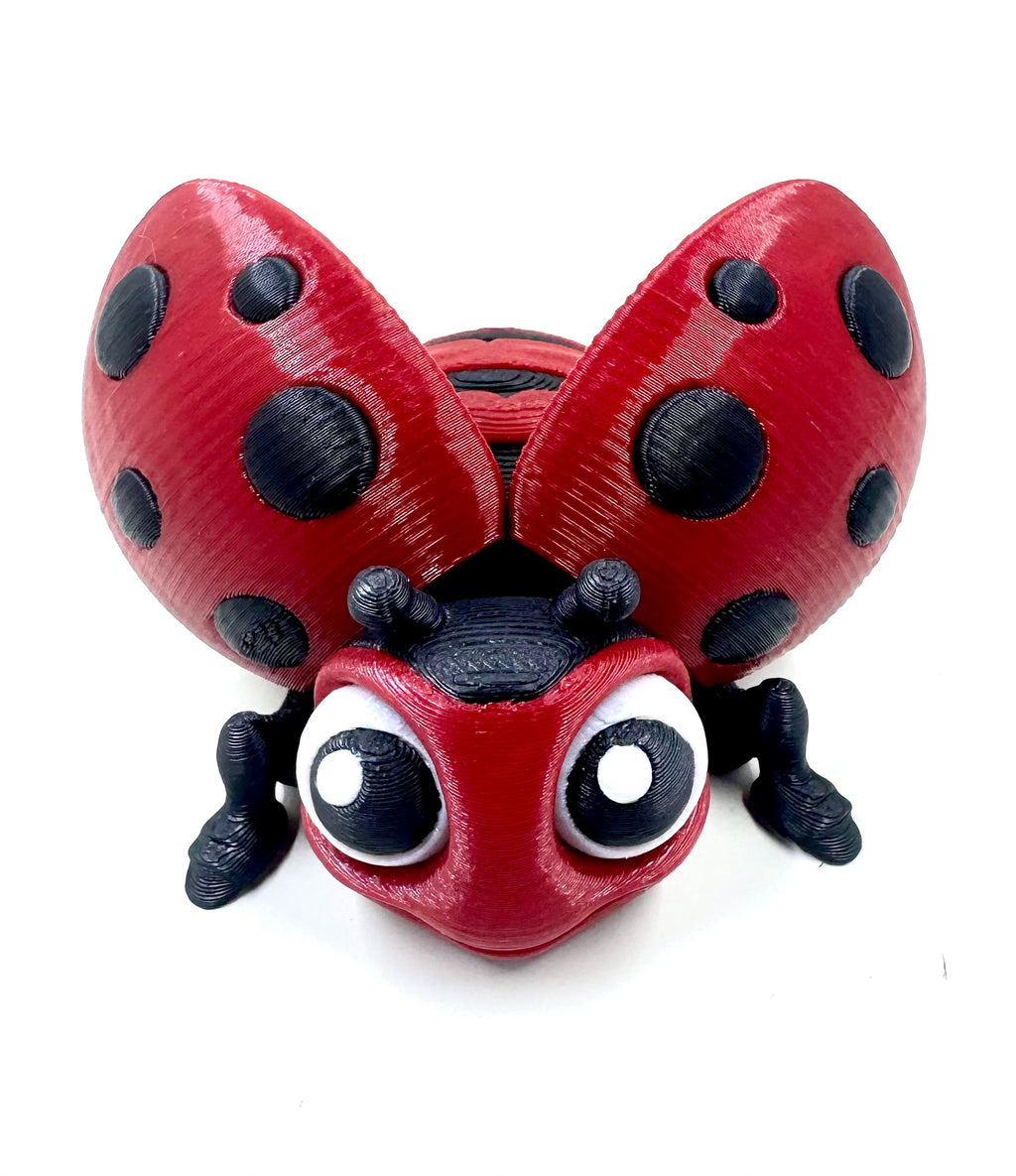 ladybug