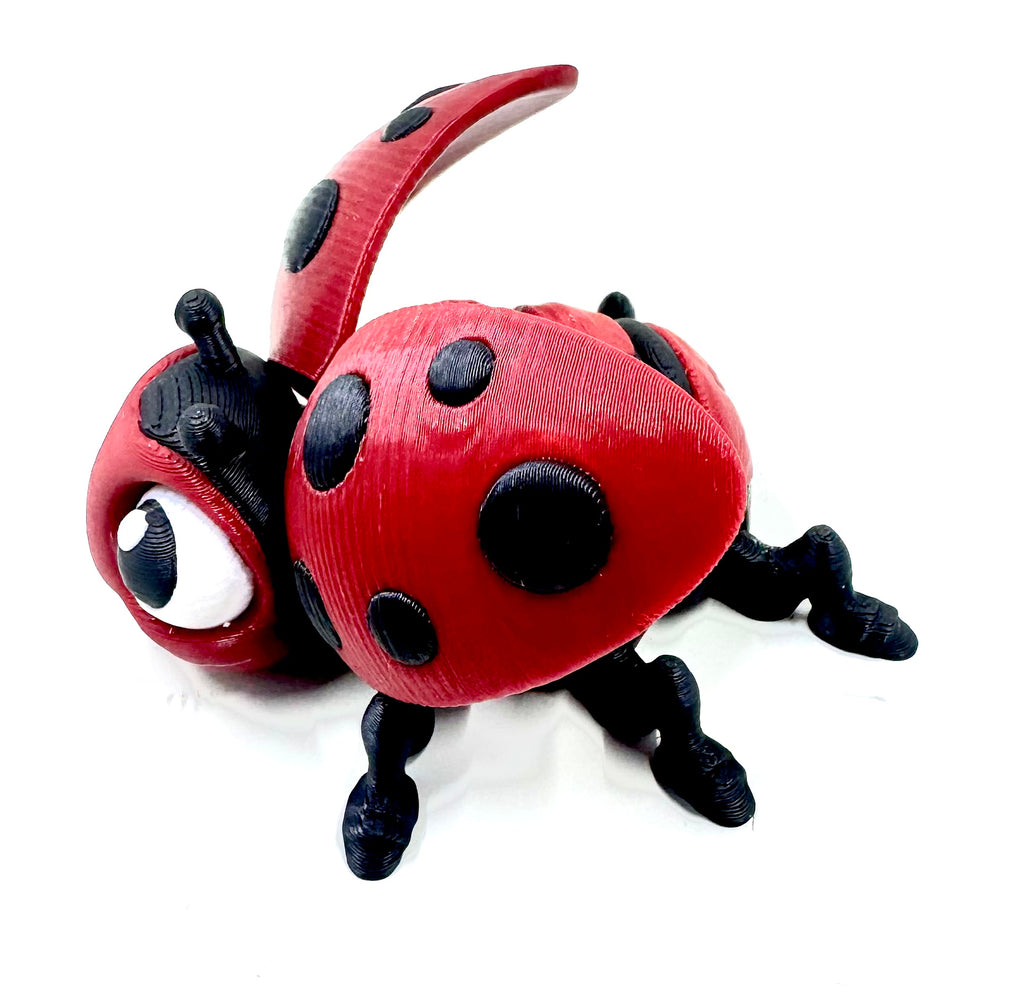 ladybug