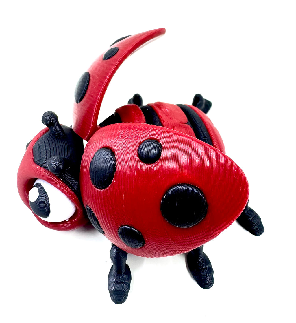 ladybug