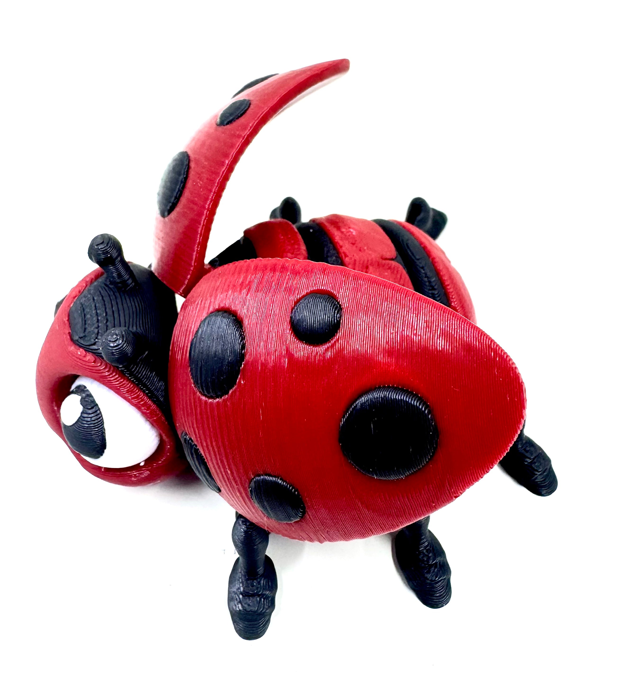 ladybug