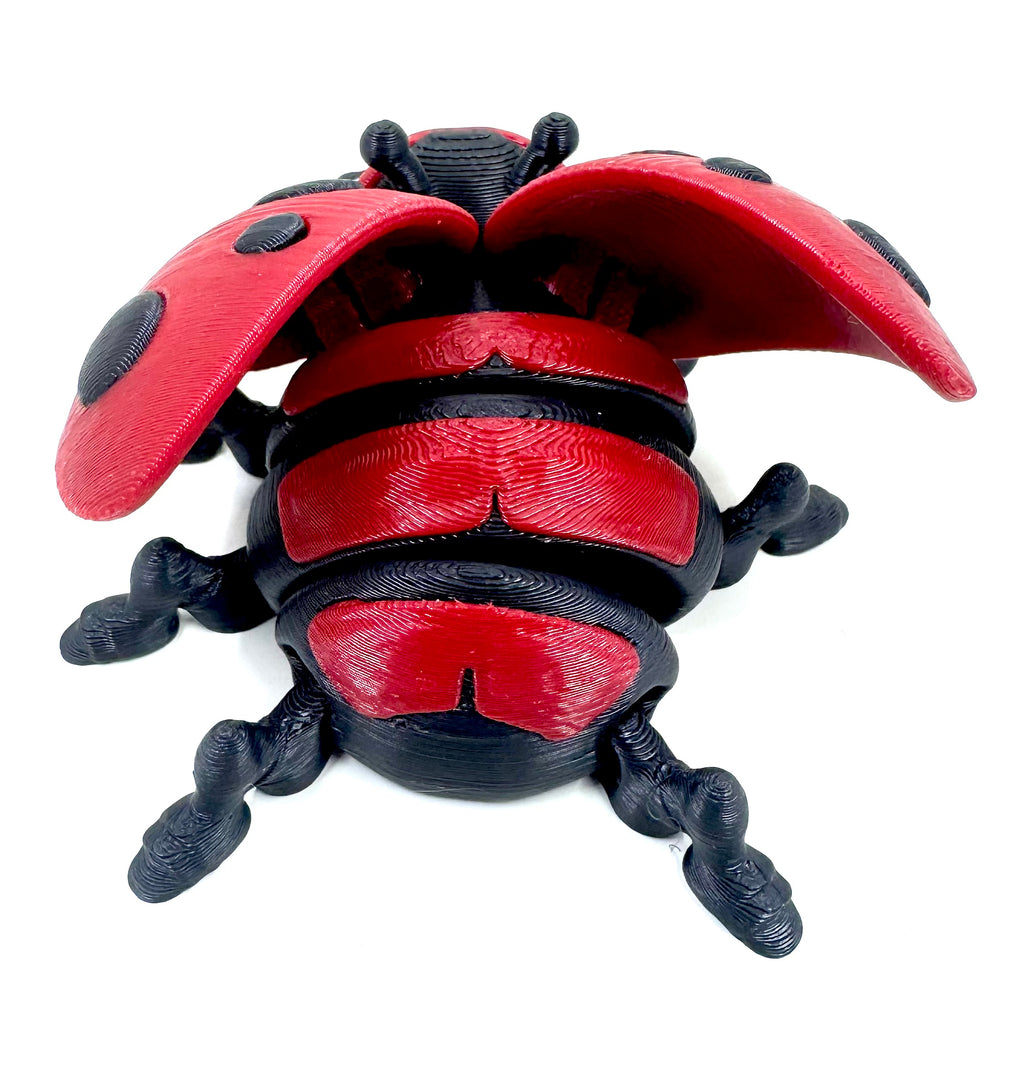 ladybug