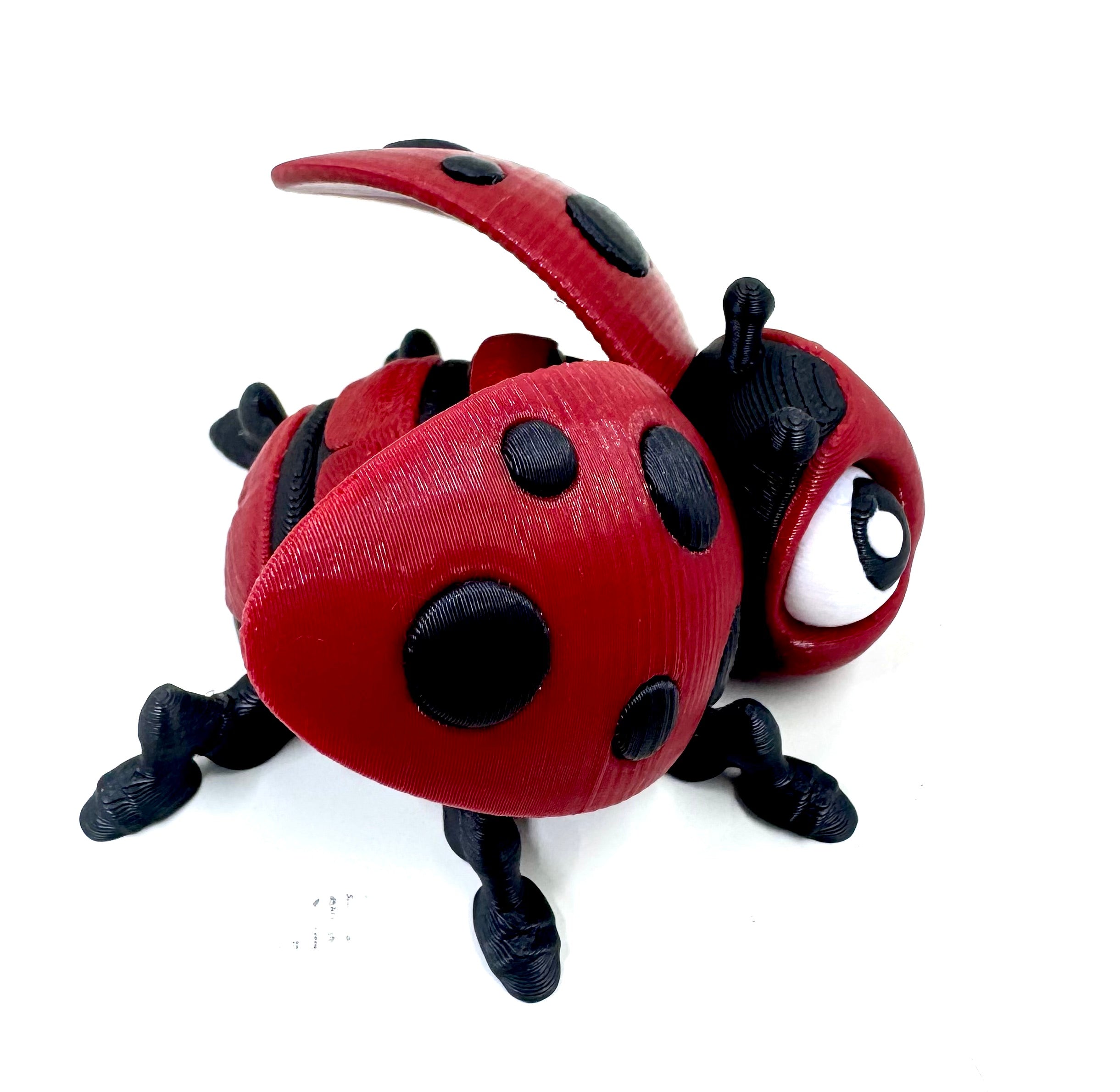 ladybug