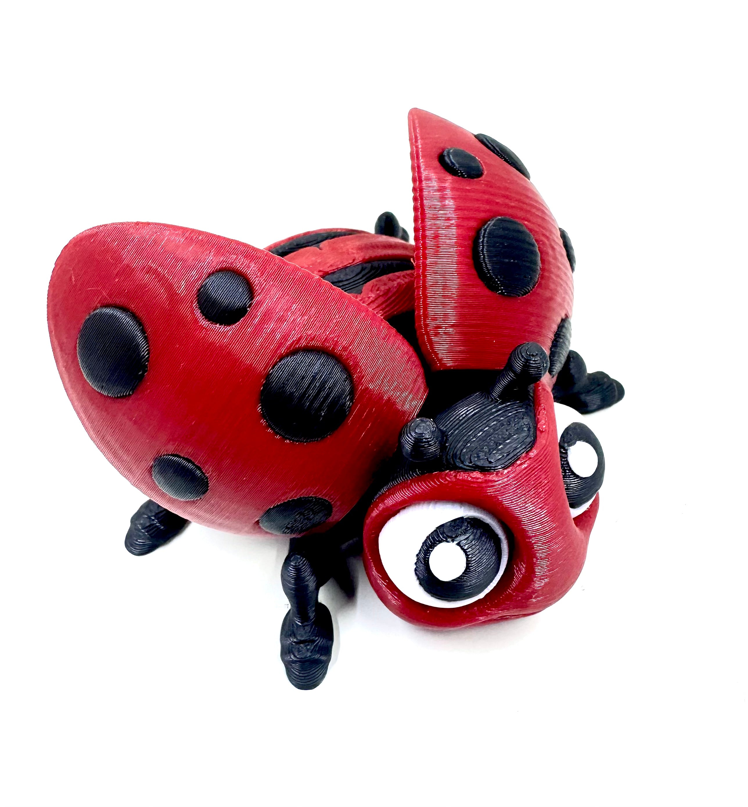 ladybug
