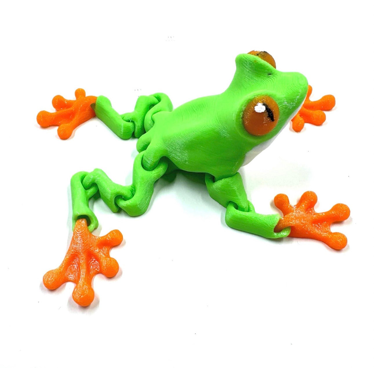 green tree frog