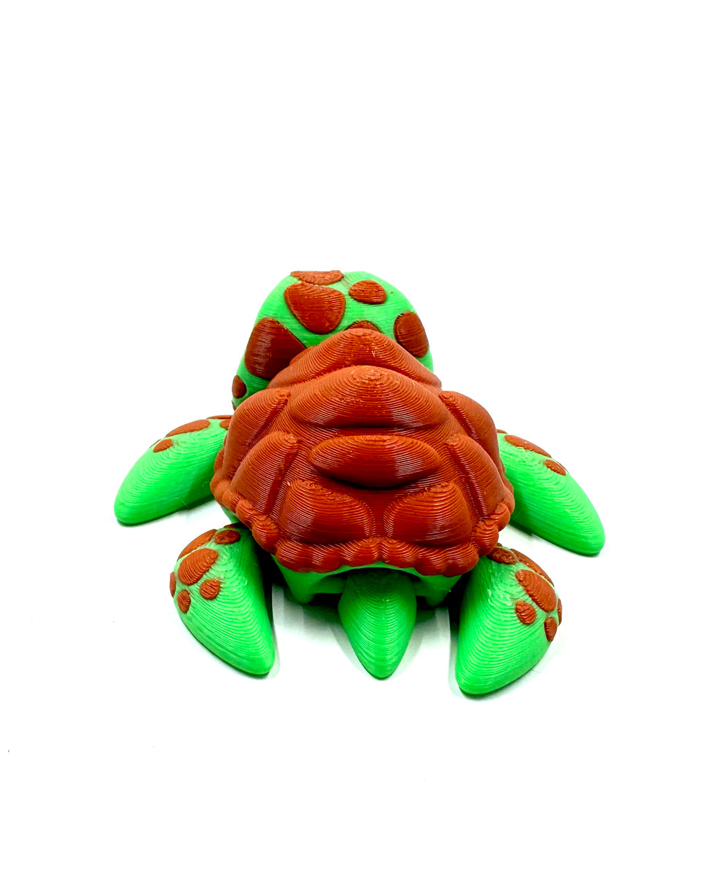 Turtle