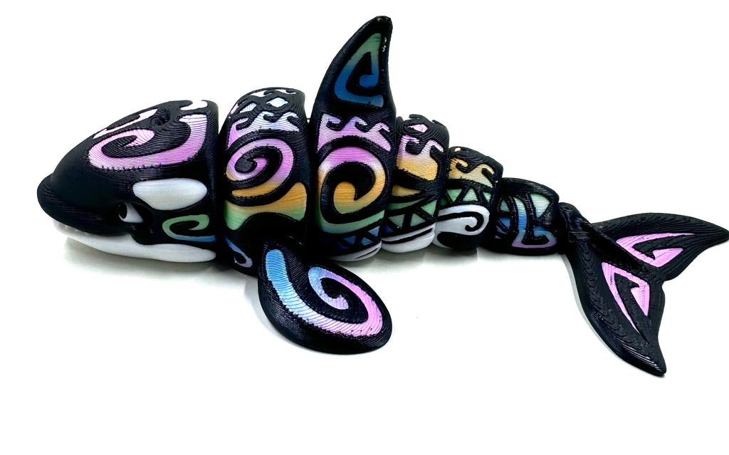 rainbow orca