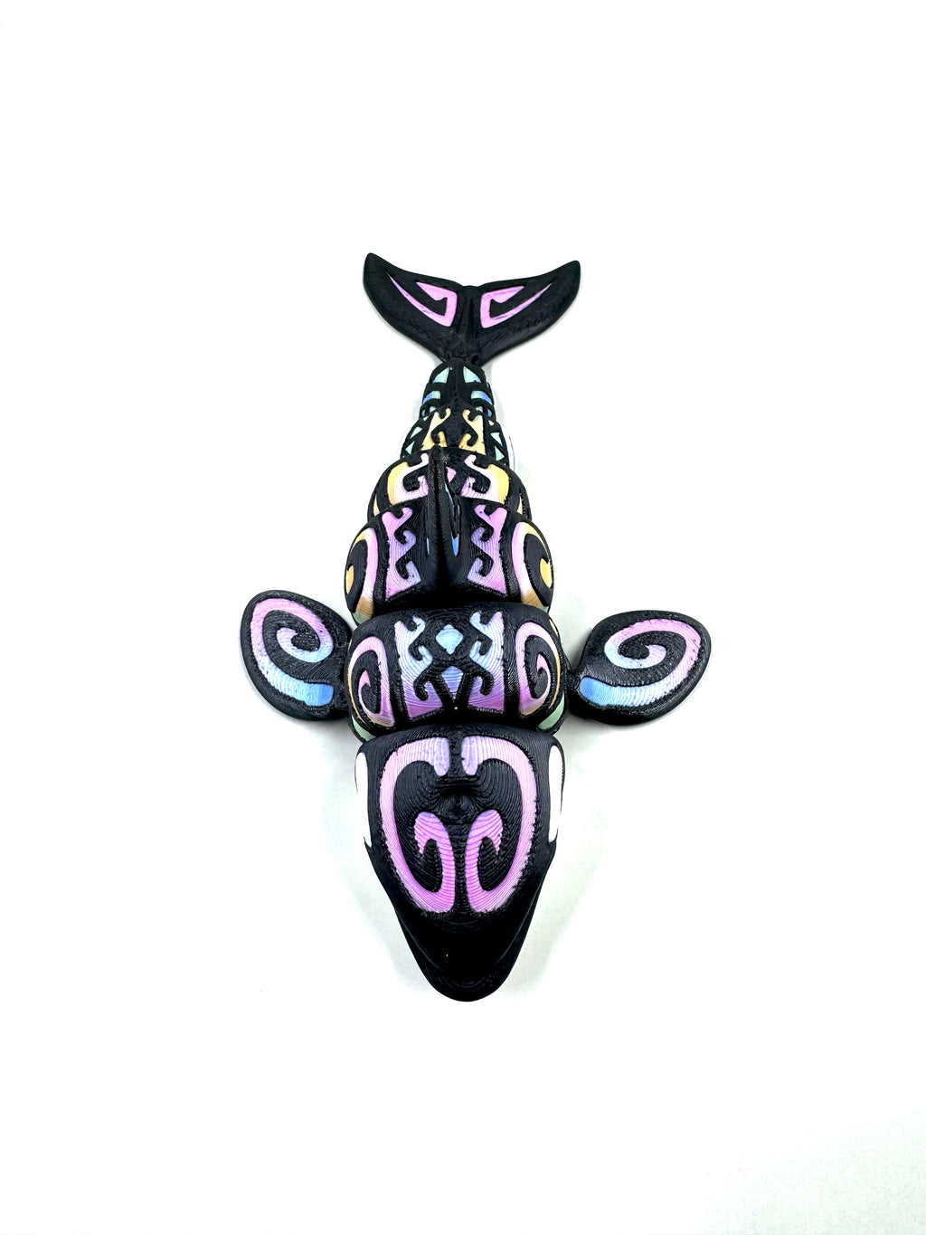 rainbow orca