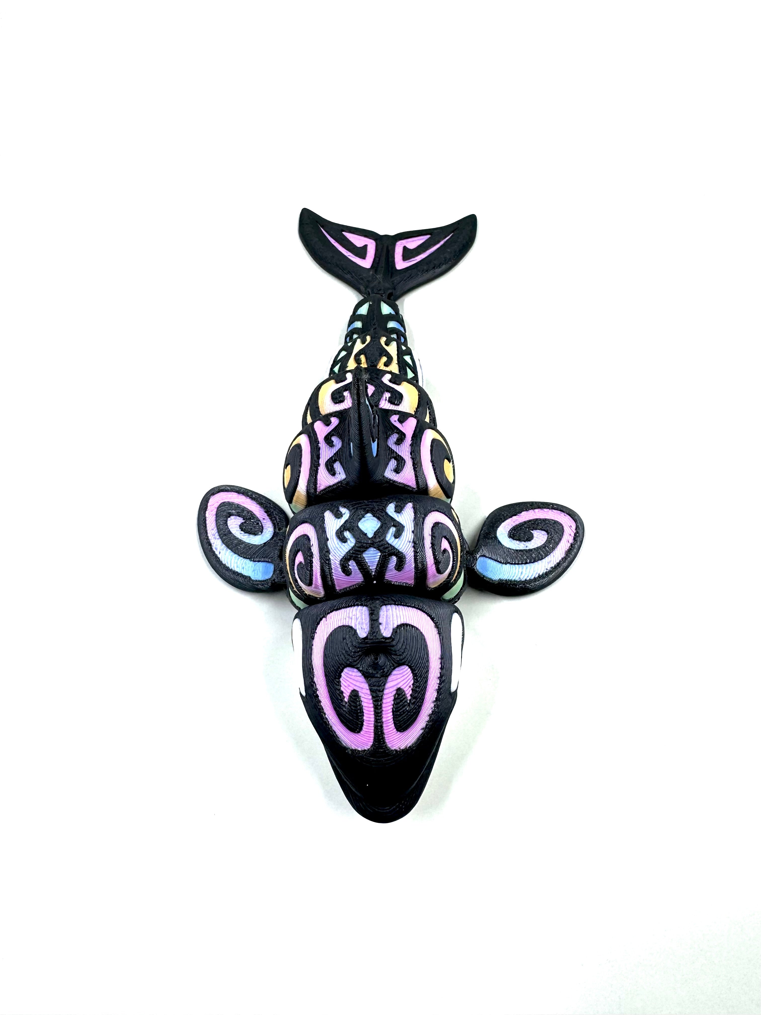 rainbow orca
