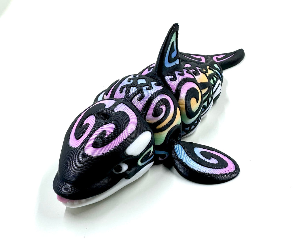 rainbow orca